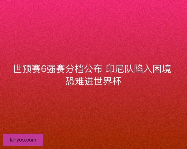 世预赛6强赛分档公布 印尼队陷入困境 恐难进世界杯